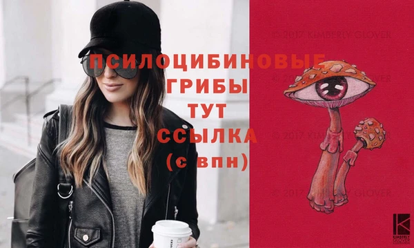 каннабис Богданович