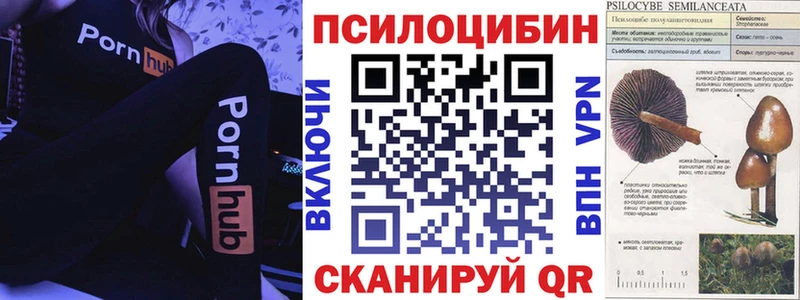 наркотики  Горячий Ключ  Галлюциногенные грибы прущие грибы 