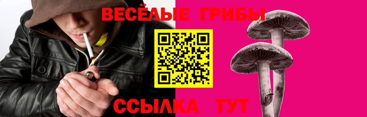 Галлюциногенные грибы GOLDEN TEACHER  Вход с VPN  Горячий Ключ  Псилоцибиновые грибы Psilocybine cubensis 
